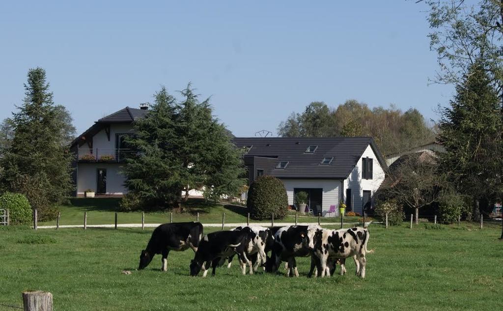 La Noue Aubain Panzió Corbenay Kültér fotó